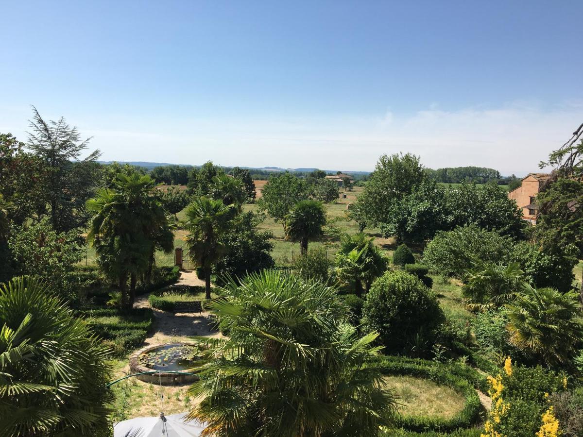 Domaine De Menerque - Petit Chateau Avec Piscine Lisle-sur-Tarn 外观 照片
