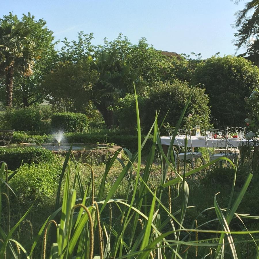 Domaine De Menerque - Petit Chateau Avec Piscine Lisle-sur-Tarn 外观 照片