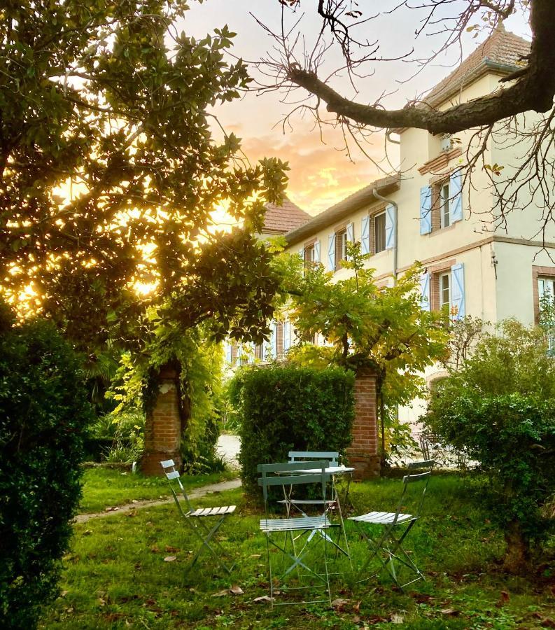 Domaine De Menerque - Petit Chateau Avec Piscine Lisle-sur-Tarn 外观 照片