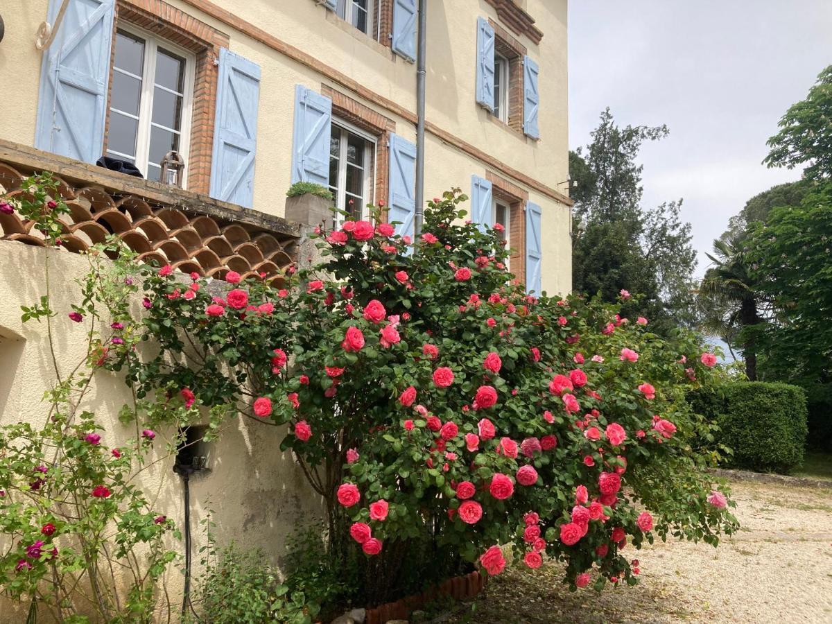 Domaine De Menerque - Petit Chateau Avec Piscine Lisle-sur-Tarn 外观 照片