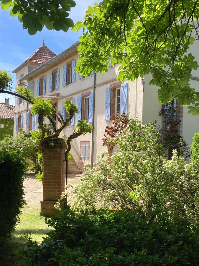 Domaine De Menerque - Petit Chateau Avec Piscine Lisle-sur-Tarn 外观 照片