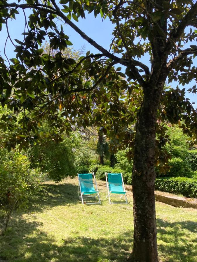 Domaine De Menerque - Petit Chateau Avec Piscine Lisle-sur-Tarn 外观 照片