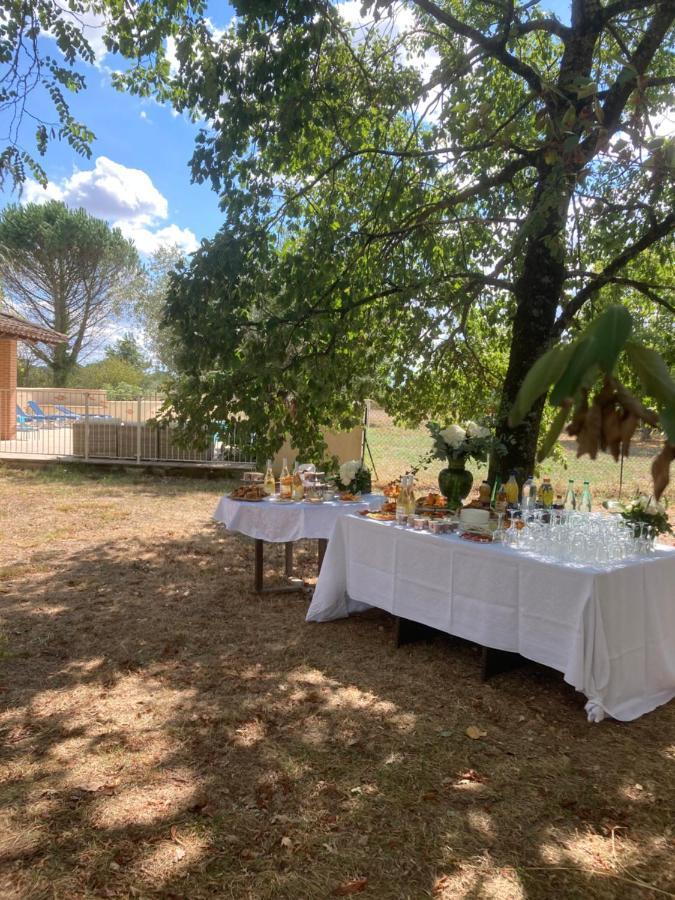 Domaine De Menerque - Petit Chateau Avec Piscine Lisle-sur-Tarn 外观 照片