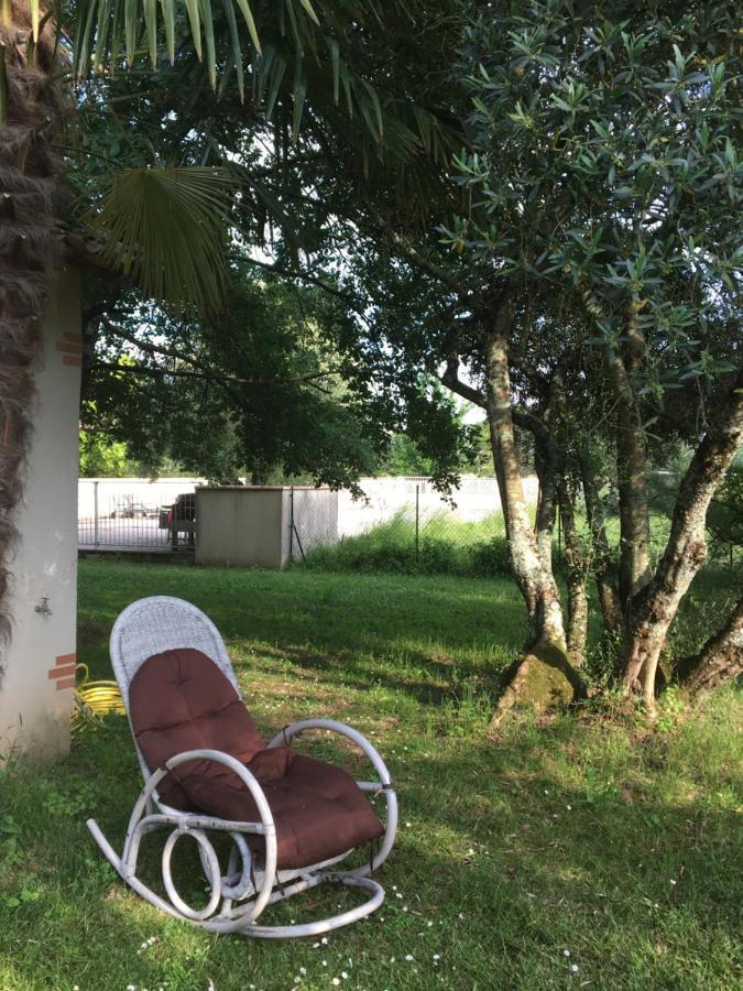 Domaine De Menerque - Petit Chateau Avec Piscine Lisle-sur-Tarn 外观 照片