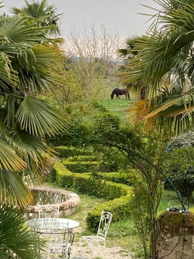 Domaine De Menerque - Petit Chateau Avec Piscine Lisle-sur-Tarn 外观 照片