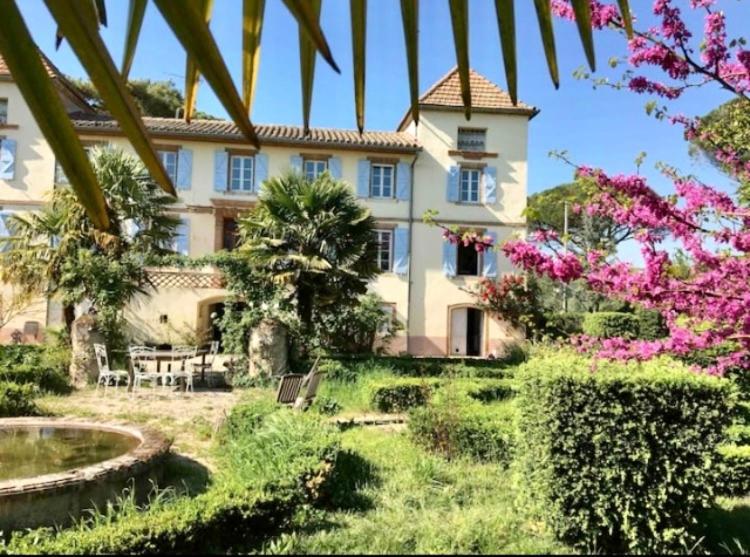 Domaine De Menerque - Petit Chateau Avec Piscine Lisle-sur-Tarn 外观 照片
