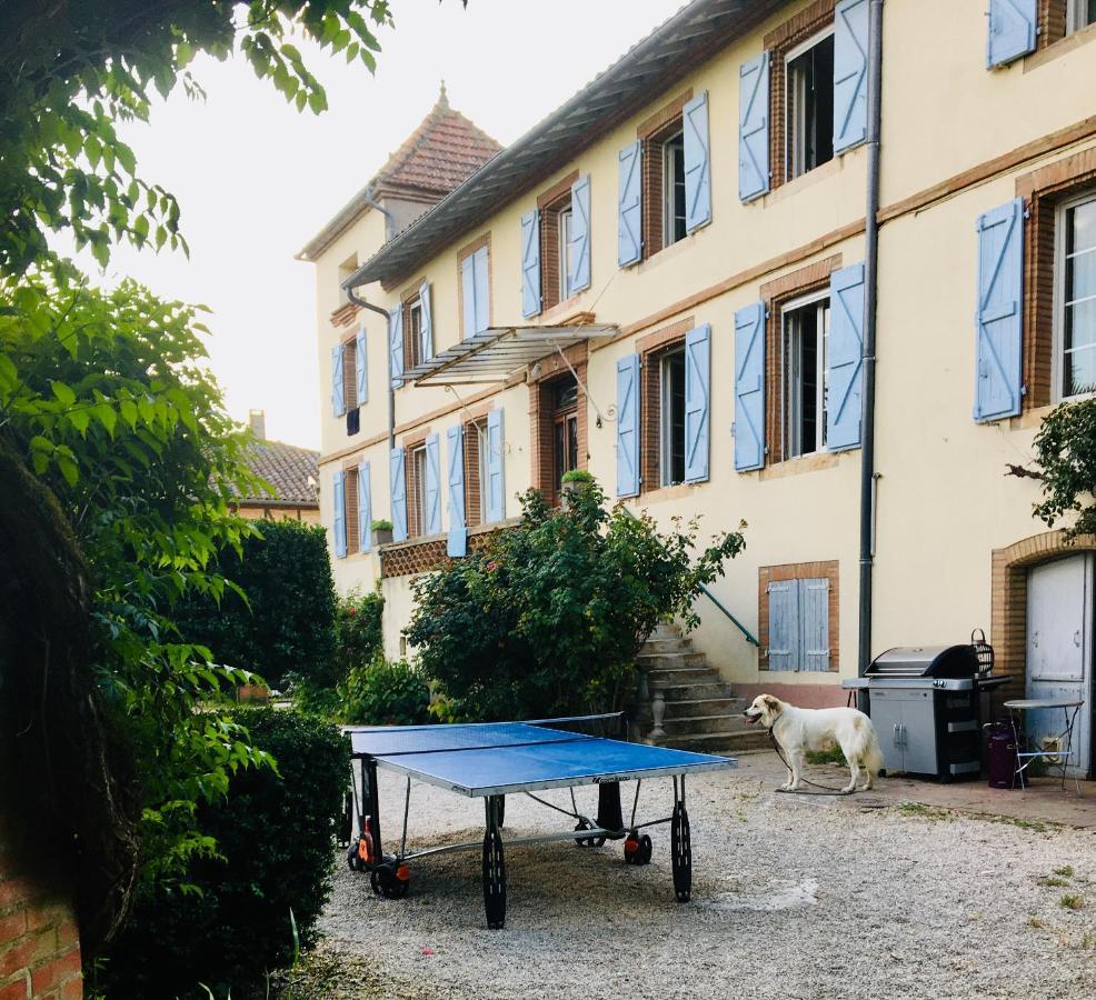 Domaine De Menerque - Petit Chateau Avec Piscine Lisle-sur-Tarn 外观 照片