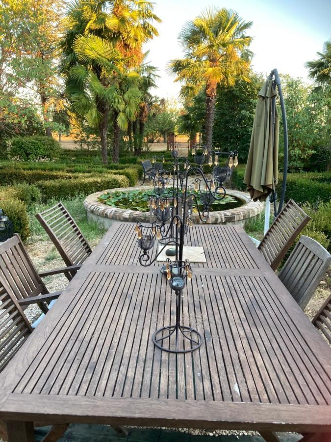 Domaine De Menerque - Petit Chateau Avec Piscine Lisle-sur-Tarn 外观 照片