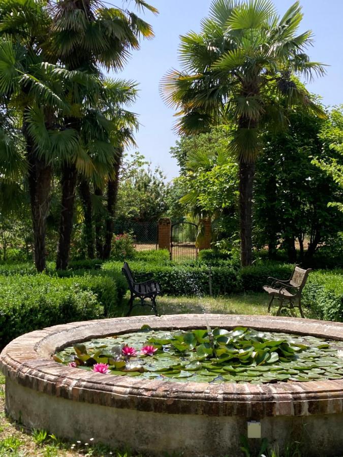 Domaine De Menerque - Petit Chateau Avec Piscine Lisle-sur-Tarn 外观 照片