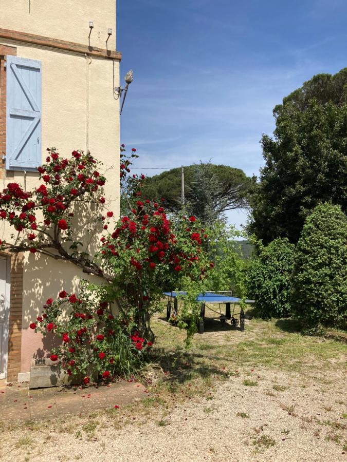 Domaine De Menerque - Petit Chateau Avec Piscine Lisle-sur-Tarn 外观 照片